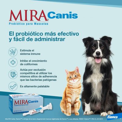 MiraCanis Elanco