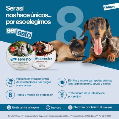 Seresto Elanco